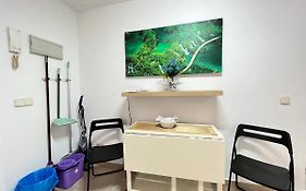 Estudio Acogedor Amparo Temporal